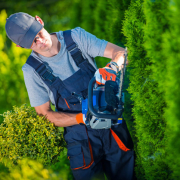 Gartenpflege in Kernen – Rasenpflege und Heckenschnitt